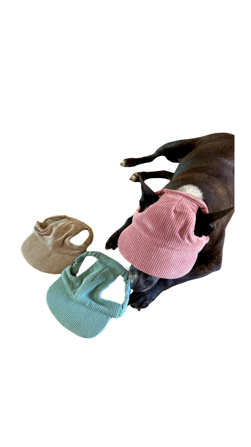 Corduroy Dog Hat