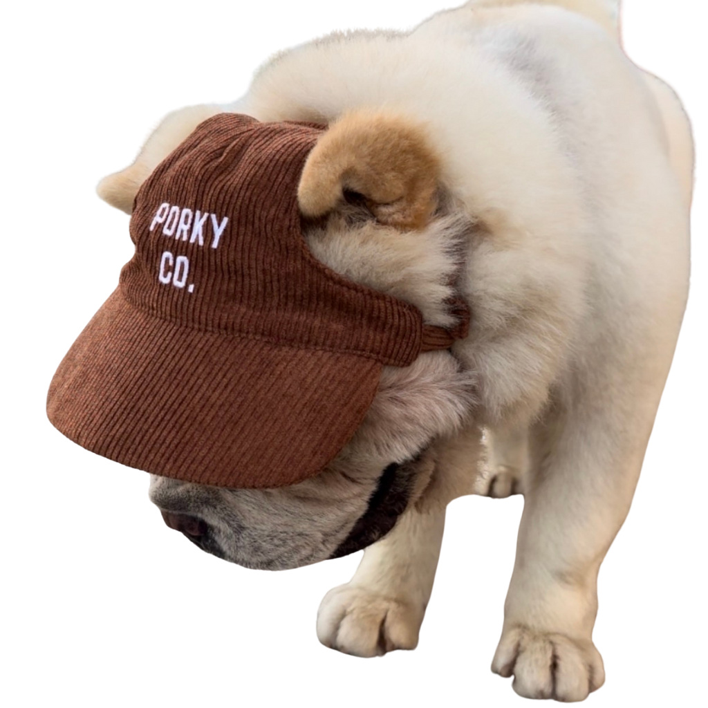 Signature Dog Hat