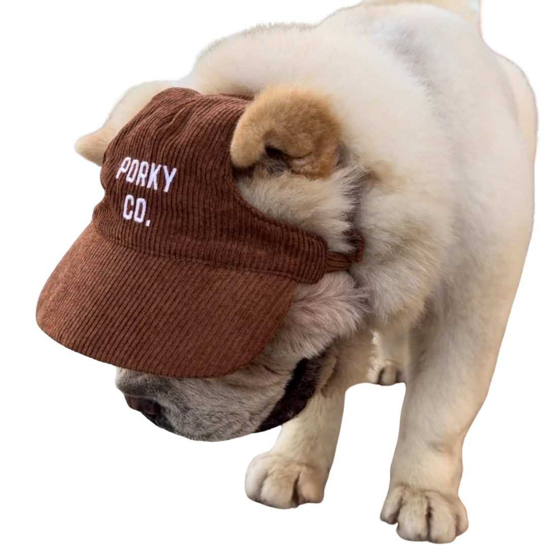 Signature Dog Hat