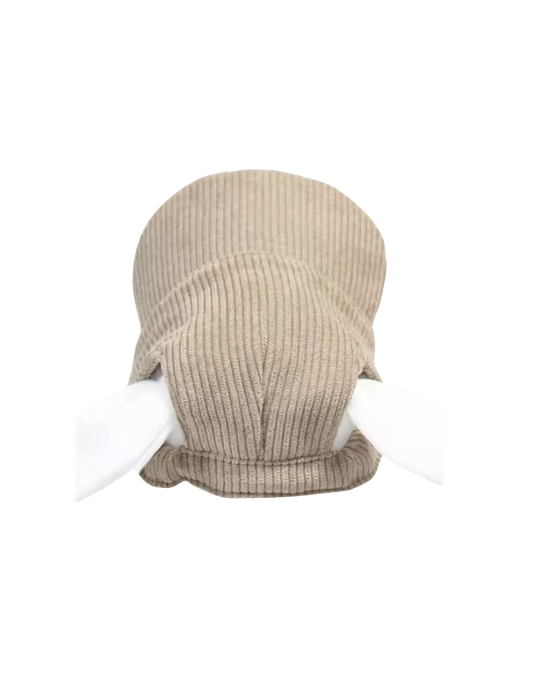 Corduroy Dog Hat