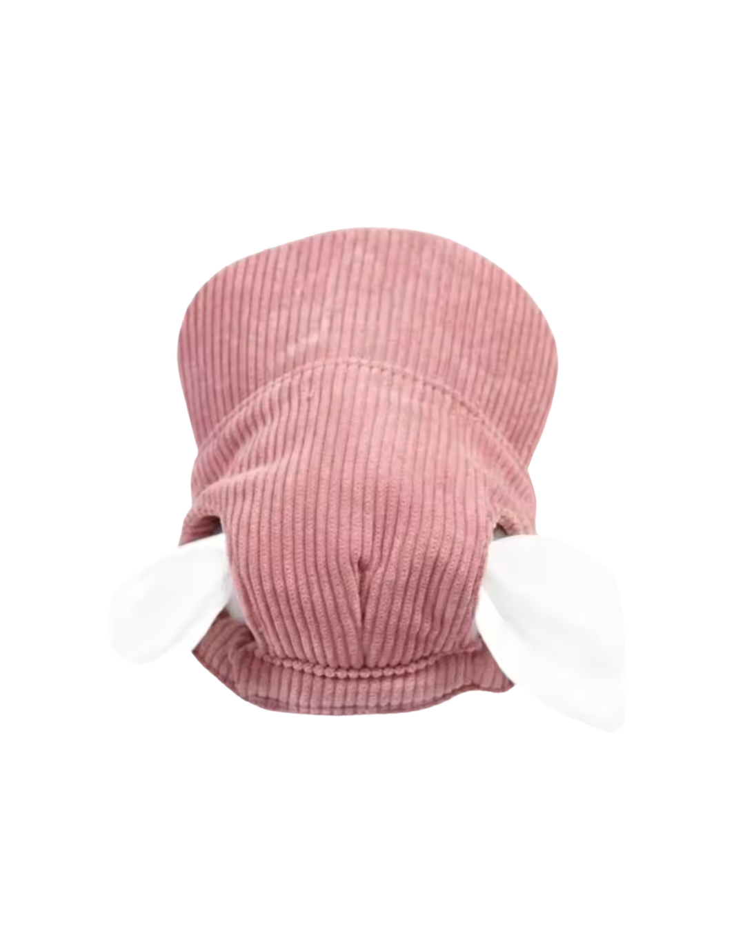 Corduroy Dog Hat