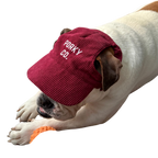 Signature Dog Hat