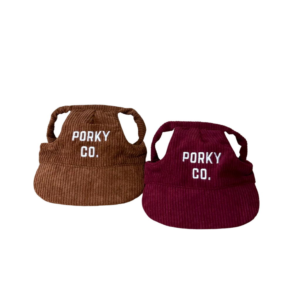 Signature Dog Hat