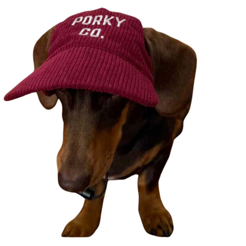 Signature Dog Hat