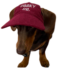 Signature Dog Hat