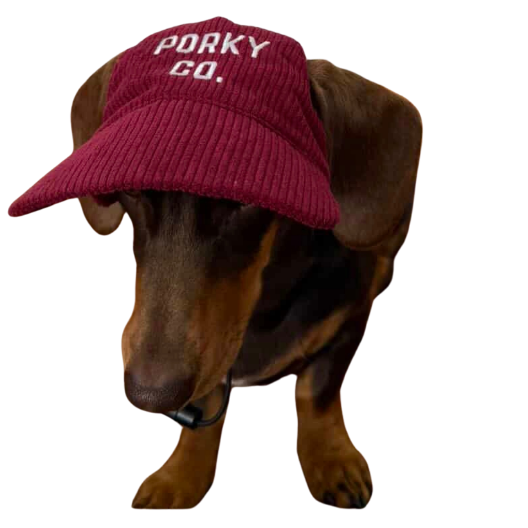 Signature Dog Hat