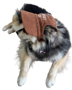 Signature Dog Hat