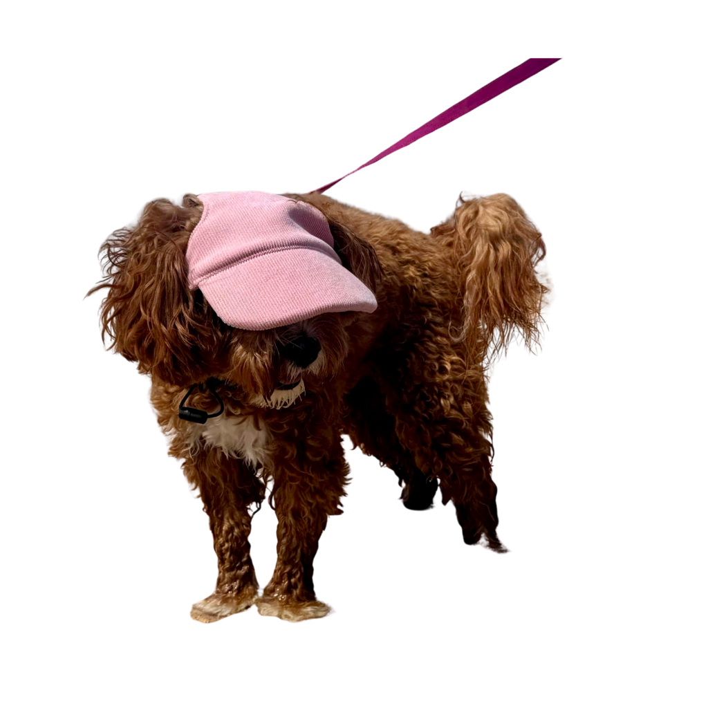 Original Dog Hat