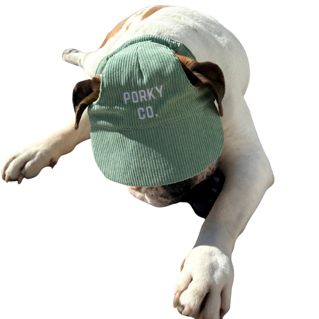 Signature Dog Hat