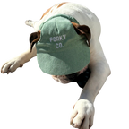 Signature Dog Hat