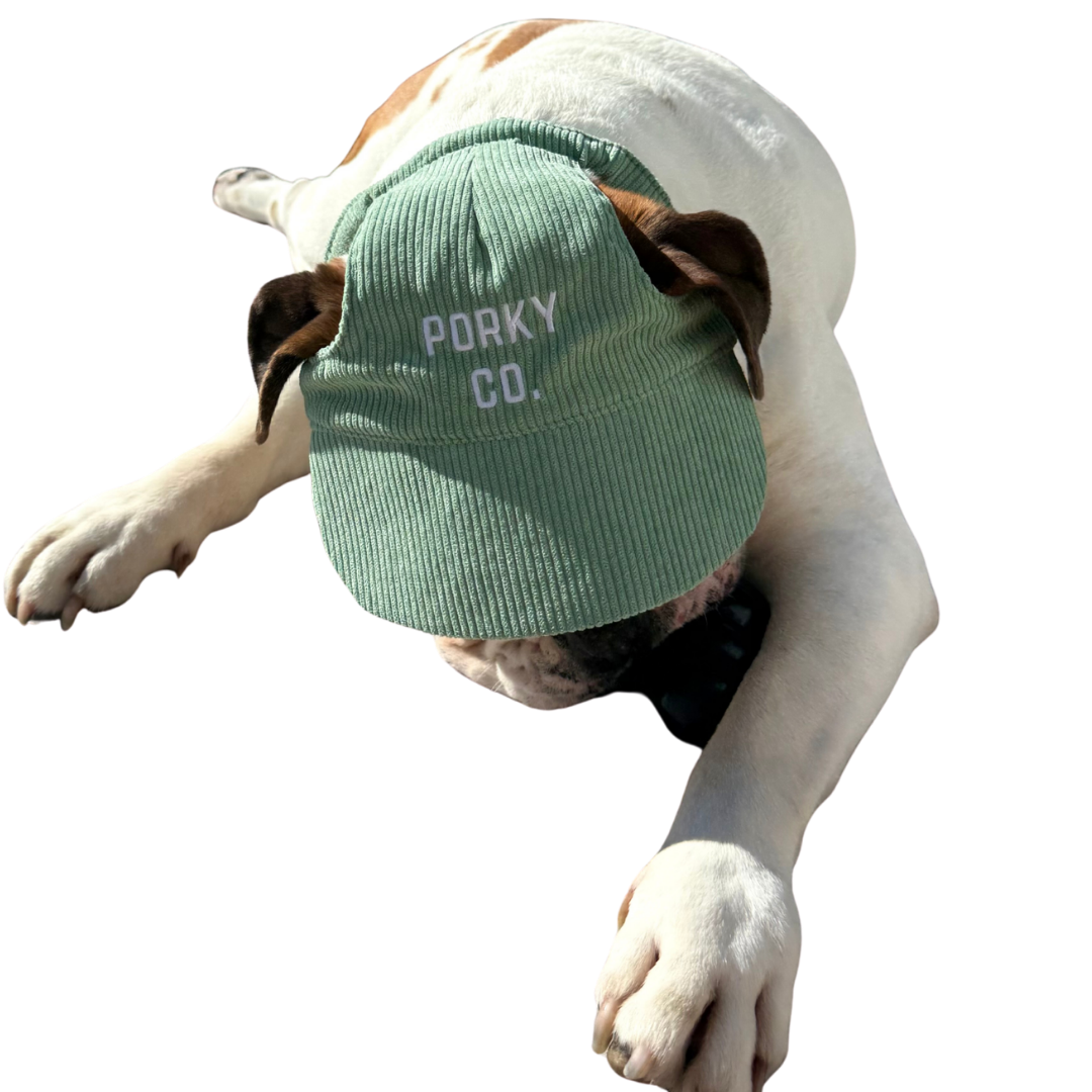 Signature Dog Hat