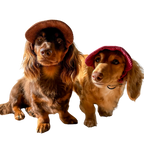 Signature Dog Hat