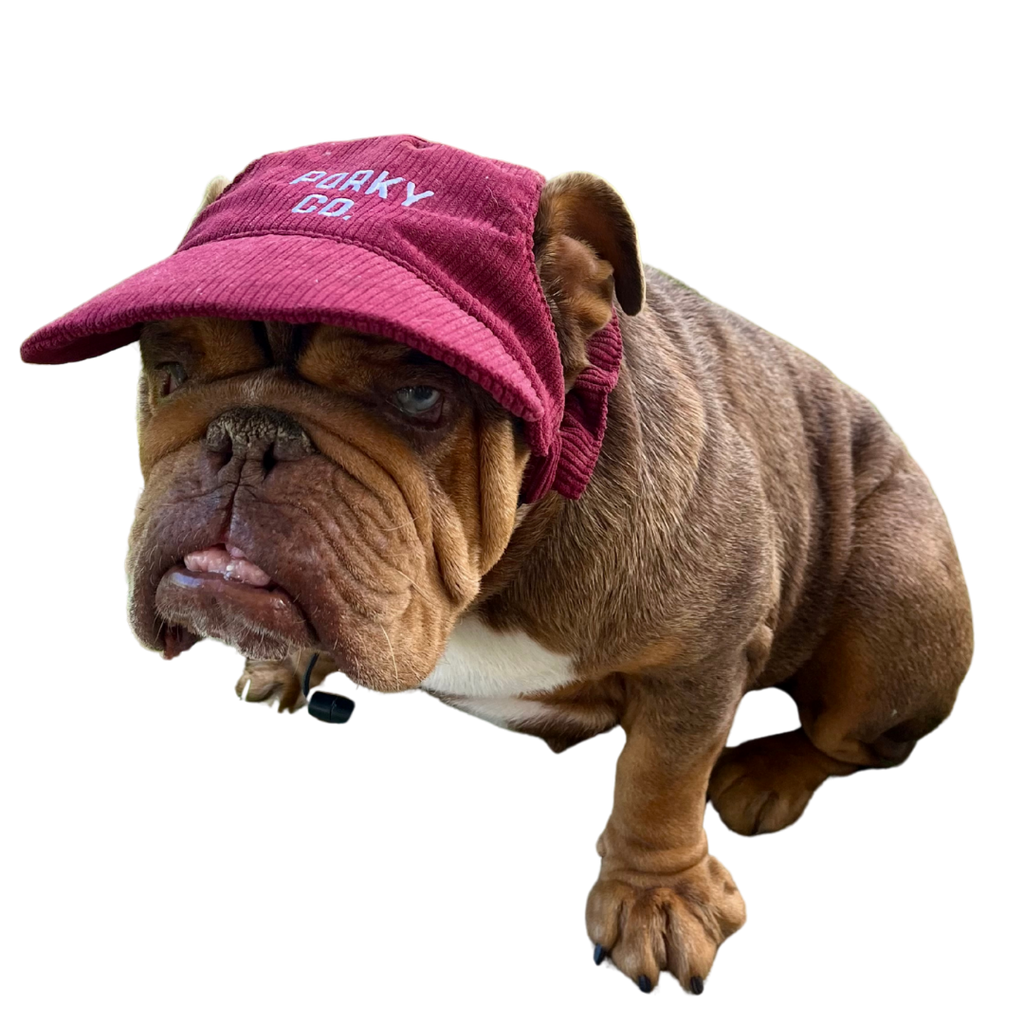 Signature Dog Hat
