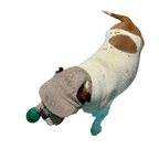 Original Dog Hat