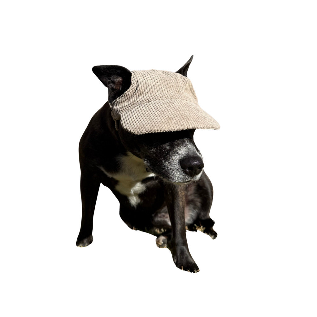 Original Dog Hat