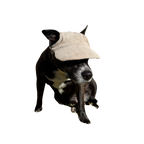 Original Dog Hat
